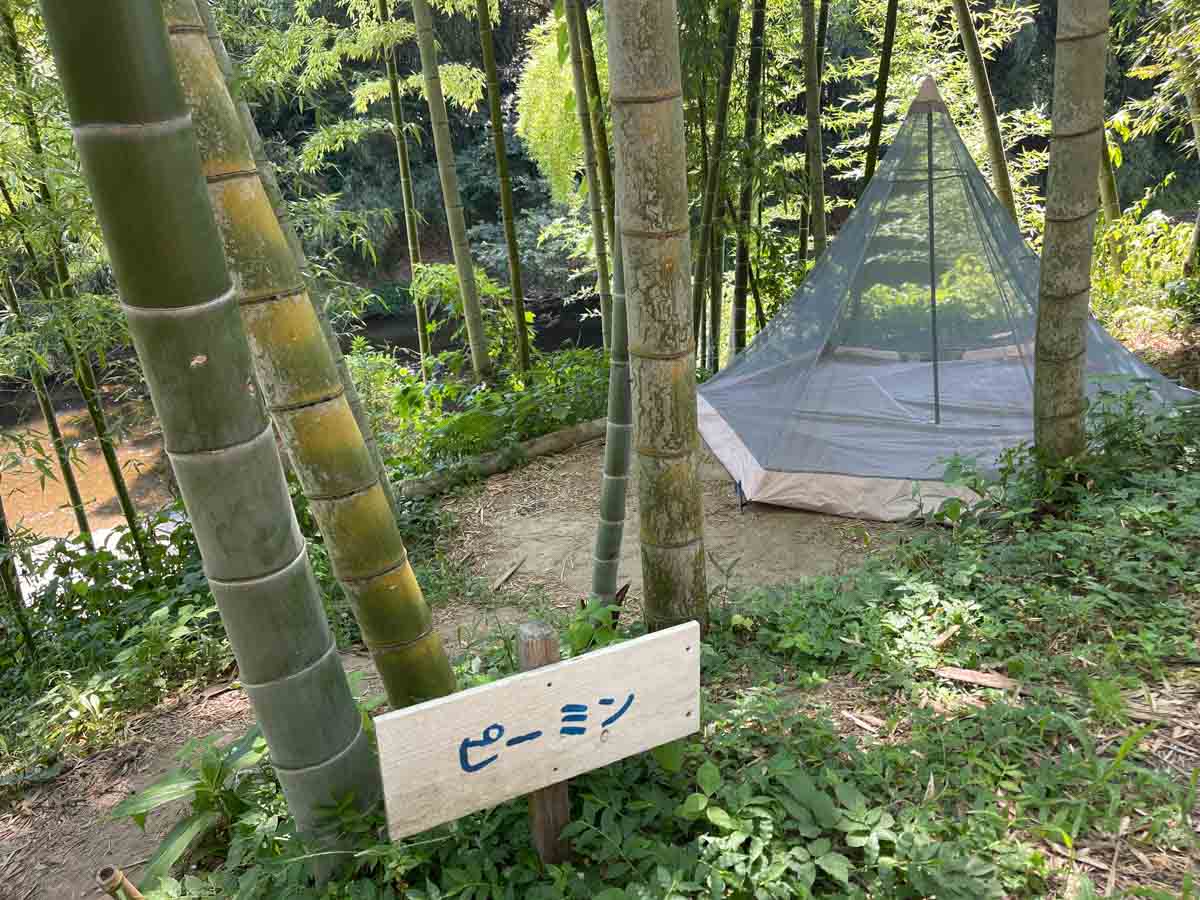 竹林の中にあるテントの画像