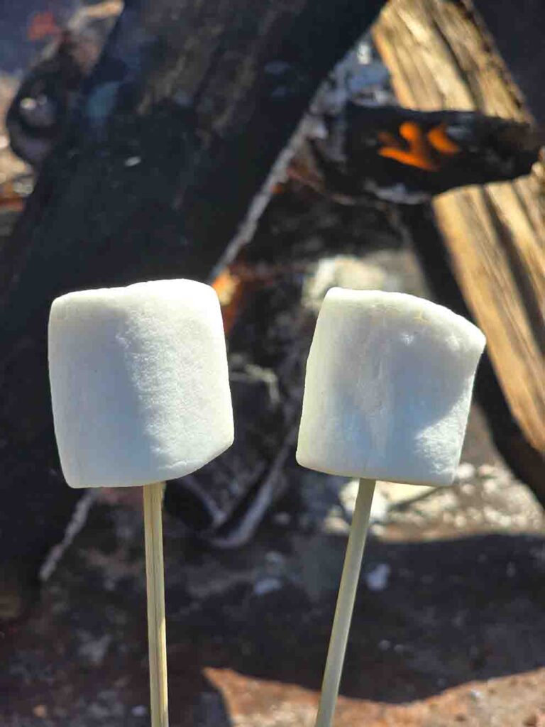 焼きマシュマロ